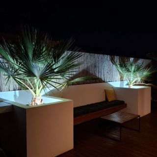 Palms are getting bigger😍 Surf season is ON, so time to pack your sunglasses😉 https://www.surf-dream.com/villa/